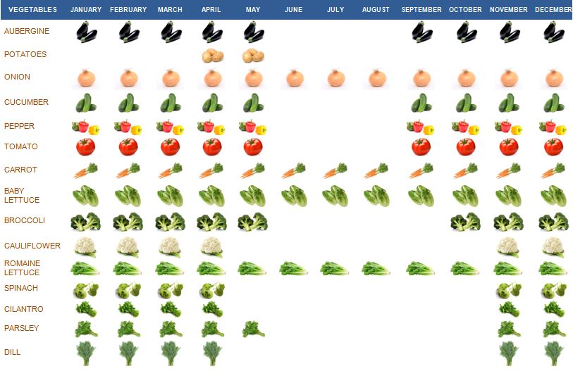 Grupo Puentesol > Products > Vegetables